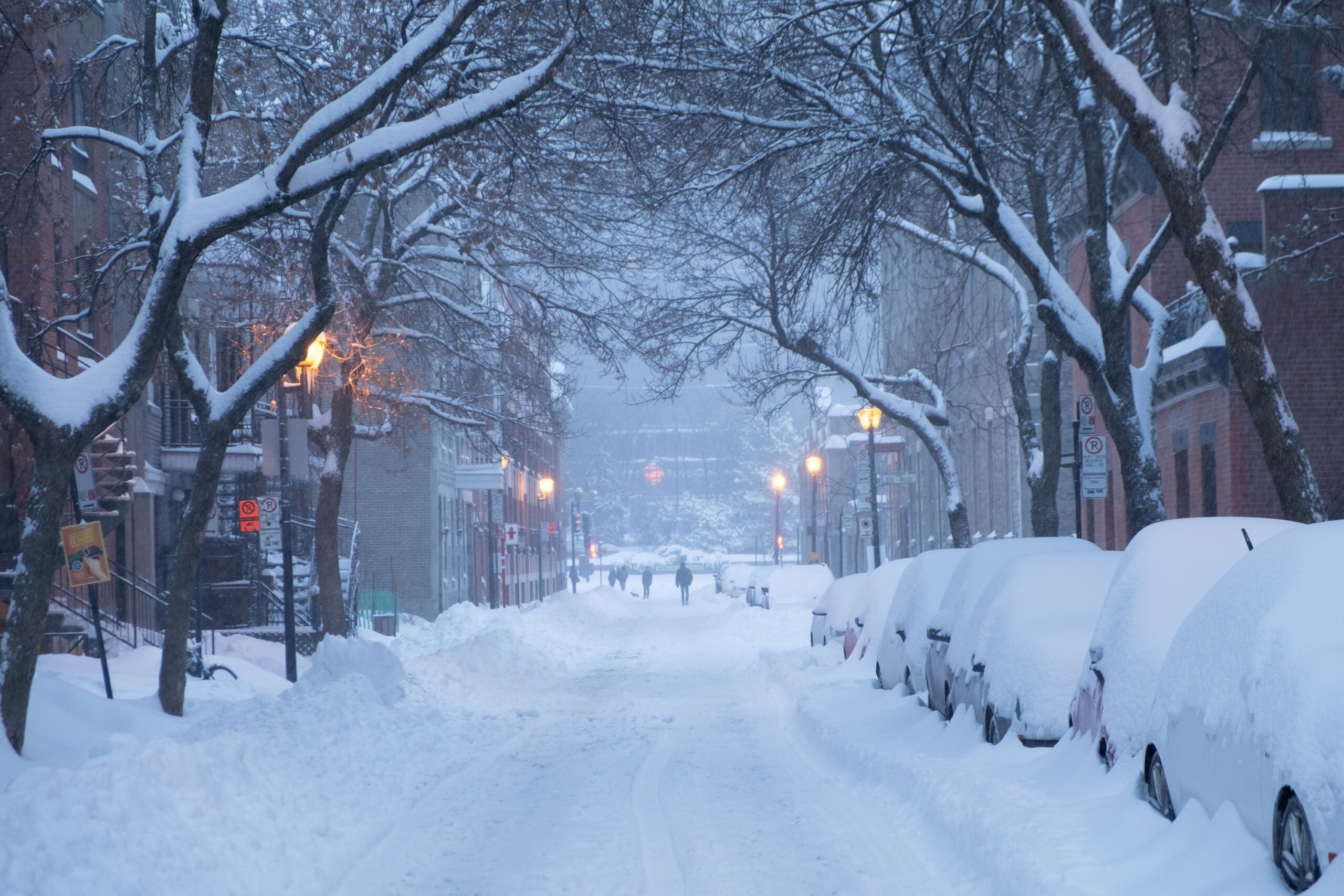 Surviving the Winter Blues in Canada