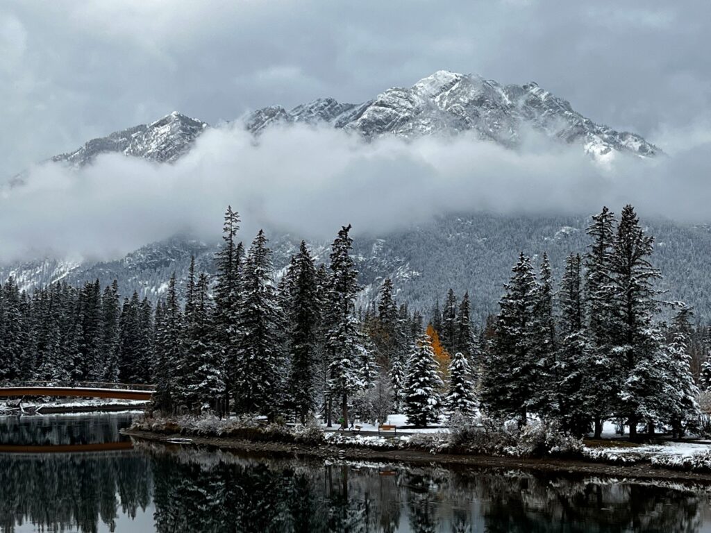 Photo of trees covered in snow in front of snow capped mountains. Banff Park taken by Canoo user Kari D Costa.