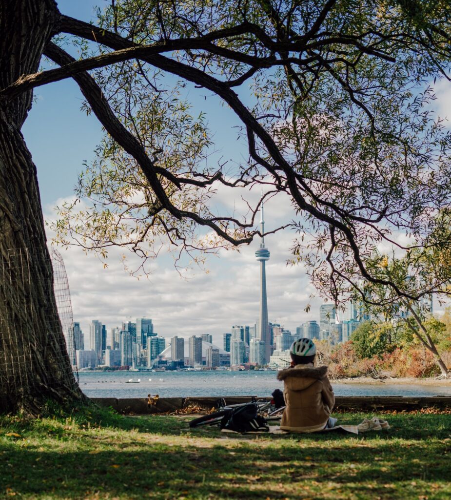 Person sitting with their bike under a tree looking at the Toronto skyline from Toronto Islands.