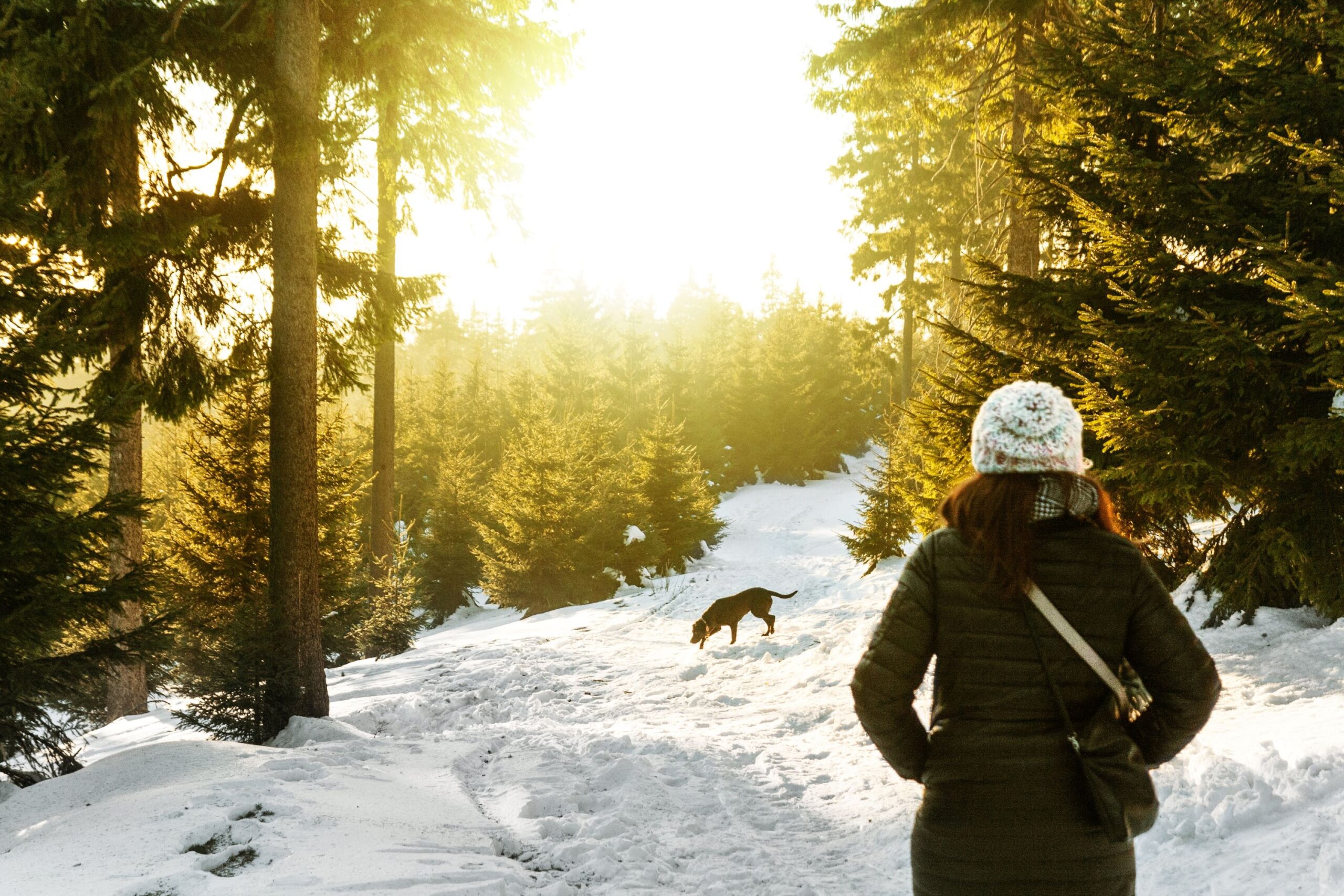 How do I Prepare for Winter in Canada?